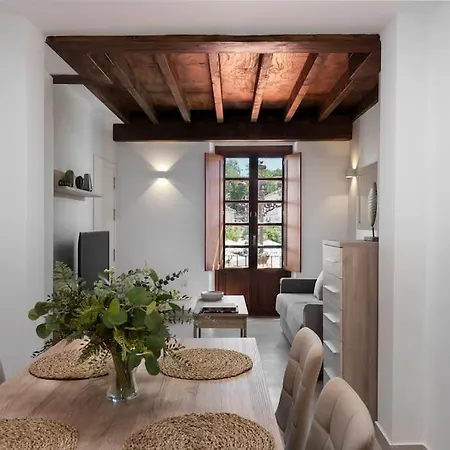 Apartamento Duplex En El Corazon De Apartment *